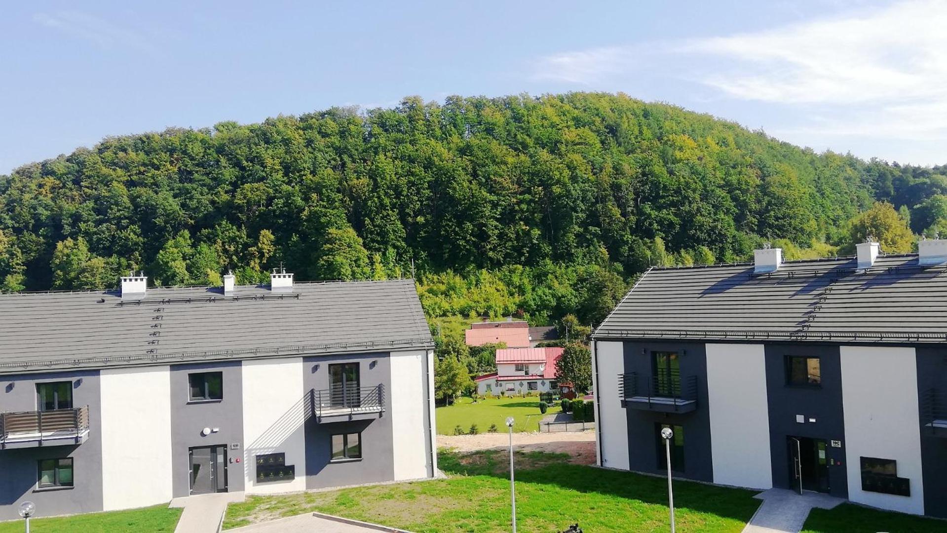 Apartment Roku 2025 !! Spa & Relax Jelen & Natura Kudowa-Zdrój Kültér fotó