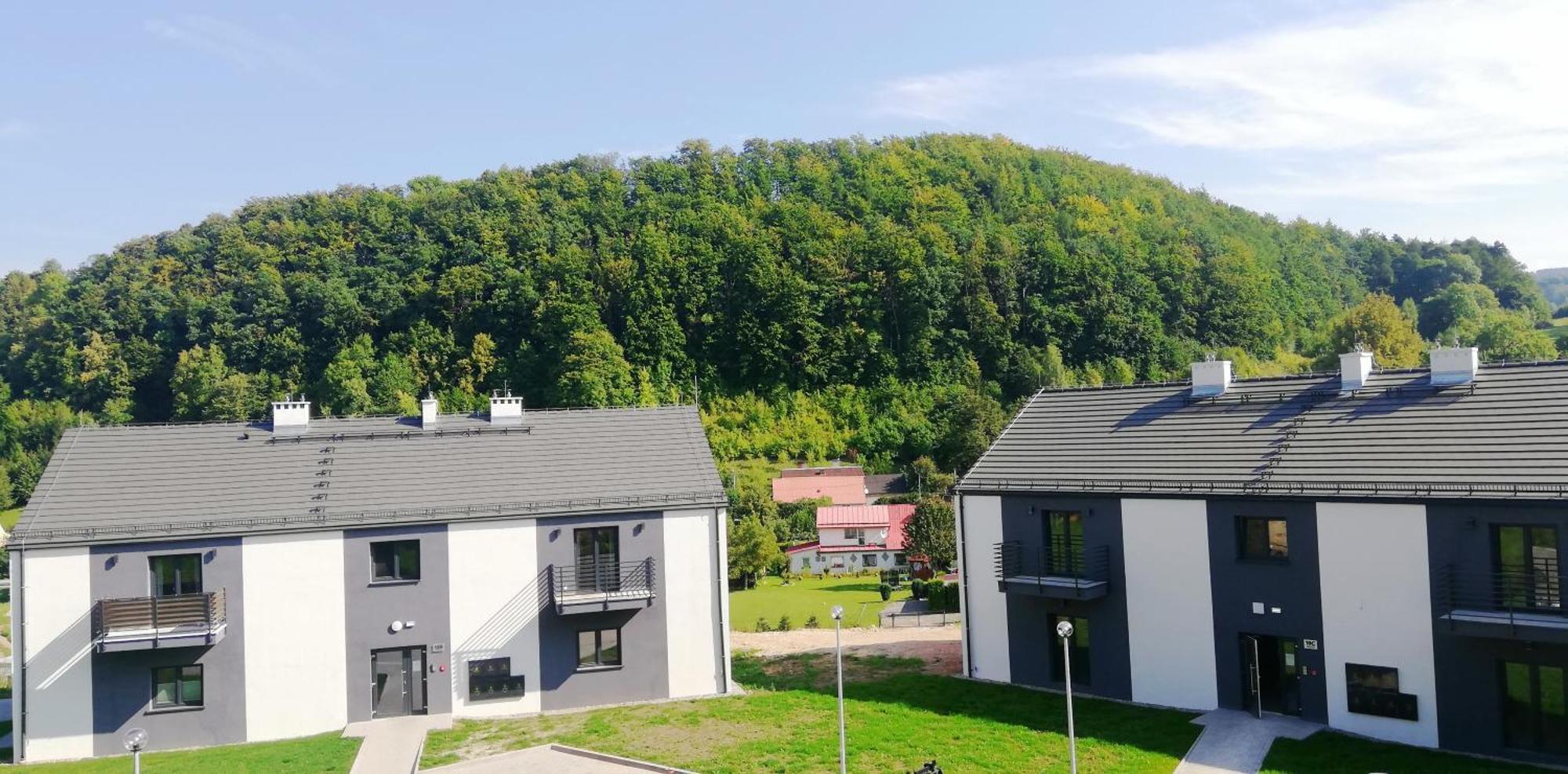 Apartment Roku 2025 !! Spa & Relax Jelen & Natura Kudowa-Zdrój Kültér fotó